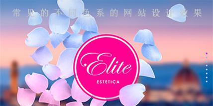 常見(jiàn)的不同色系的網(wǎng)站設(shè)計(jì)效果